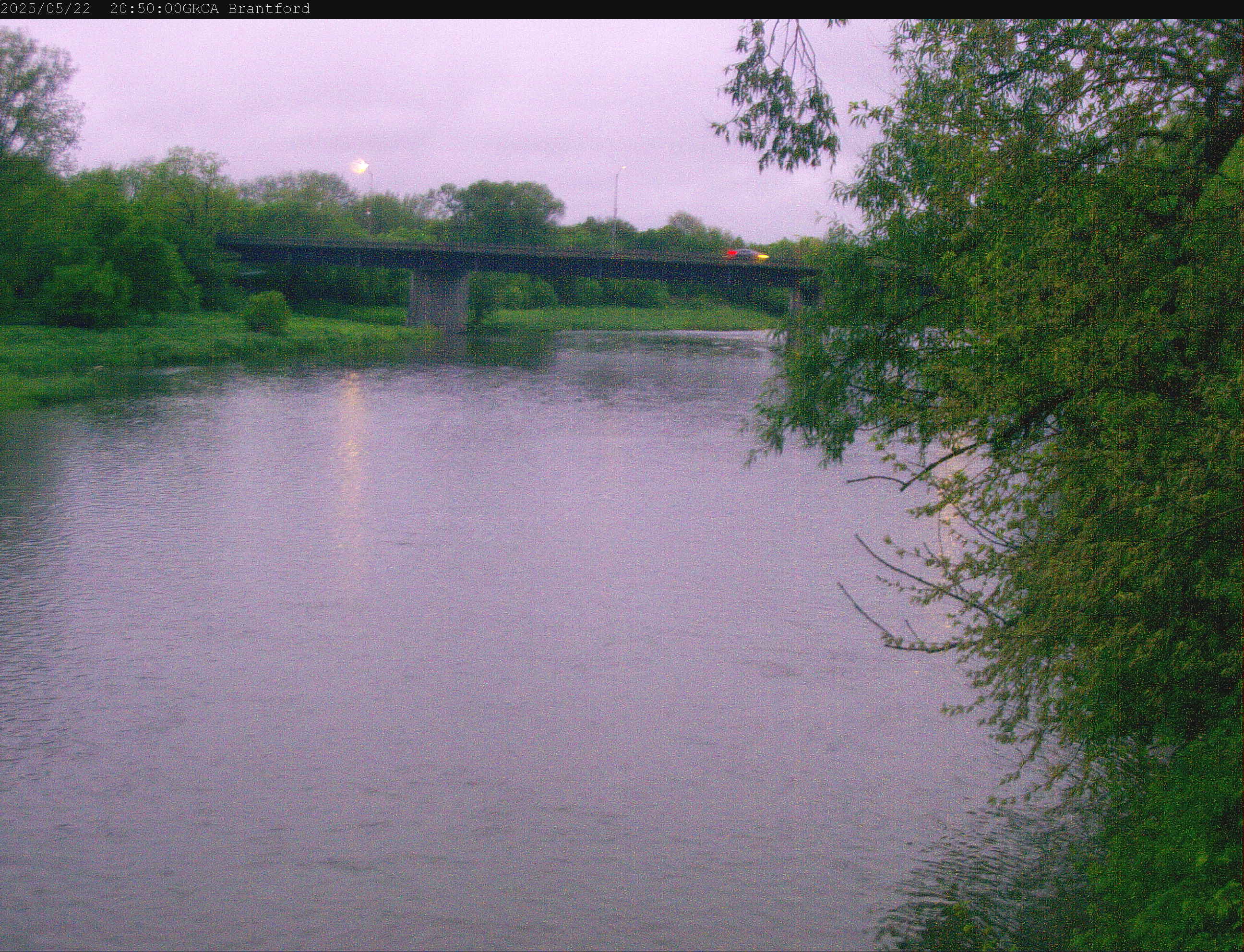 Brantford river cam still photo